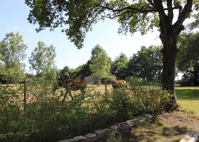 Affittacamere La Longere De La Chevallerais